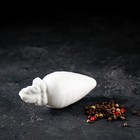 Набор для специй Доляна «Зайка», солонка 50 мл, перечница 40 мл, доломит, белый - Фото 7