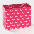 Подставка для яиц 5 ячеек Доляна «Зайка», 19.5×16.2×10 см ㅤ 5287714