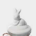 Банка для сыпучих Доляна «Зайка», 600 мл, с керамической крышкой, стекло, прозрачная - Фото 9