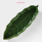 Блюдо сервировочное Доляна «Лист», 25×9×2.8 см, цвет зелёный - Фото 2