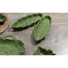 Блюдо сервировочное Доляна «Лист», 25×9×2.8 см, цвет зелёный - Фото 6