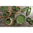 Блюдо сервировочное Доляна «Лист», 25×9×2,8 см, цвет зелёный - Фото 8