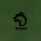 Блюдо сервировочное Доляна «Лист», 27×2.8 см, зелёное - Фото 5