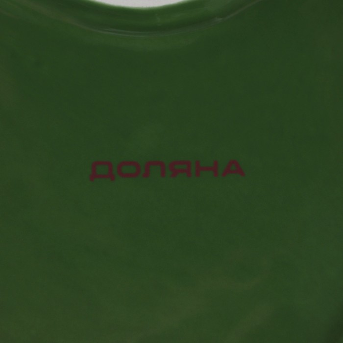 Менажница 2 ячейки Доляна «Лист», 24,7×18×3,8 см, цвет зелёный - фото 1911530157