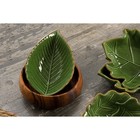 Салатник Доляна «Лист», 170 мл, 18×10.5 см, цвет зелёный - Фото 6