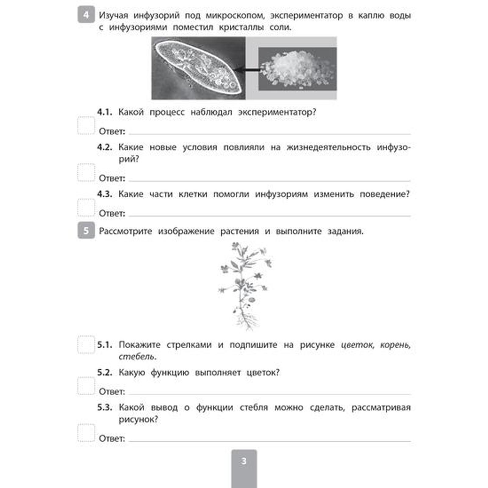 Всероссийская проверочная работа 2020. Биология 6 класс. Петрова А.  (6624006) - Купить по цене от 161.00 руб. | Интернет магазин SIMA-LAND.RU