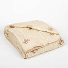 Одеяло облегчённое Адамас "Овечья шерсть", размер 140х205 ± 5 см, 200гр/м2, чехол п/э - Фото 1