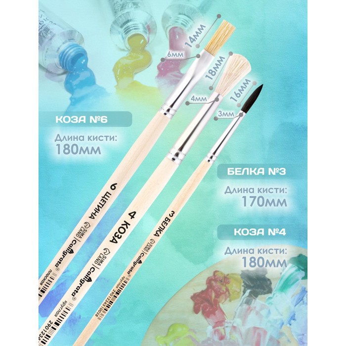 Набор кистей для рисования, белка, коза, щетина, 3 штуки: № 3, № 4 (круглые), № 6 (плоская), Calligrata, круглые, плоская, деревянная ручка, в пакете - Фото 1