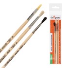 Набор кистей для рисования, белка, коза, щетина, 3 штуки: № 3, № 4 (круглые), № 6 (плоская), Calligrata, круглые, плоская, деревянная ручка, в пакете - Фото 3