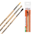 Набор кистей для рисования, белка, коза, щетина, 3 штуки: № 3, № 4 (круглые), № 6 (плоская), Calligrata, круглые, плоская, деревянная ручка, в пакете - Фото 6