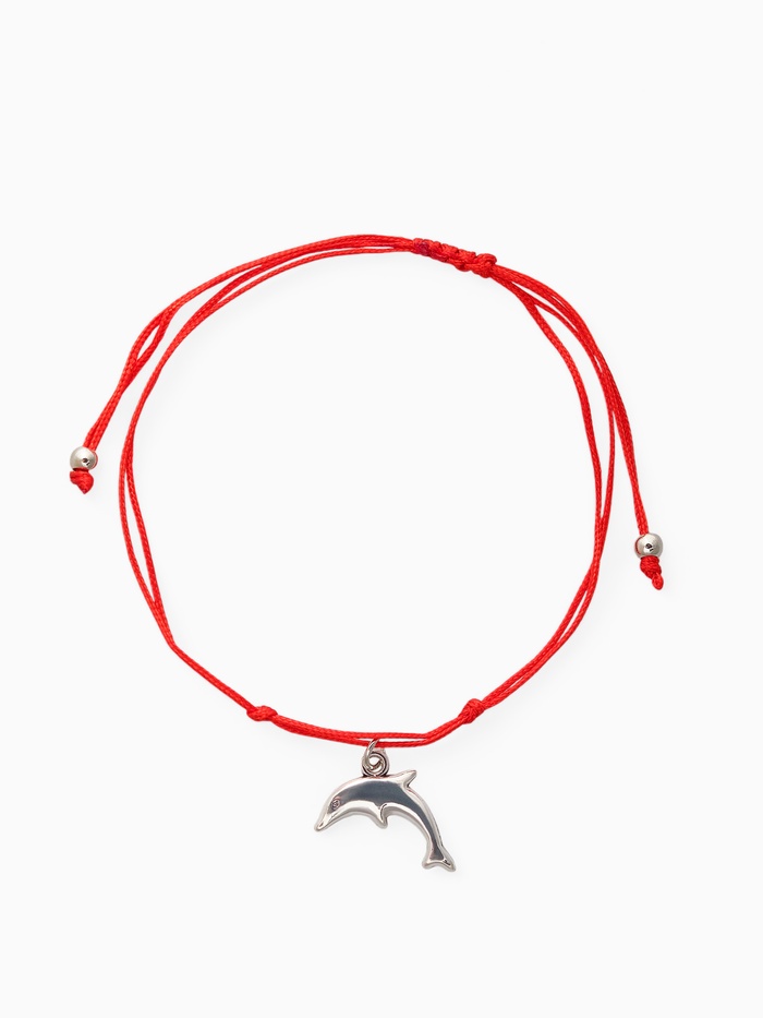 Браслет-оберег «Став» везунчик, дельфин, цвет серебро, 8 см - Фото 1