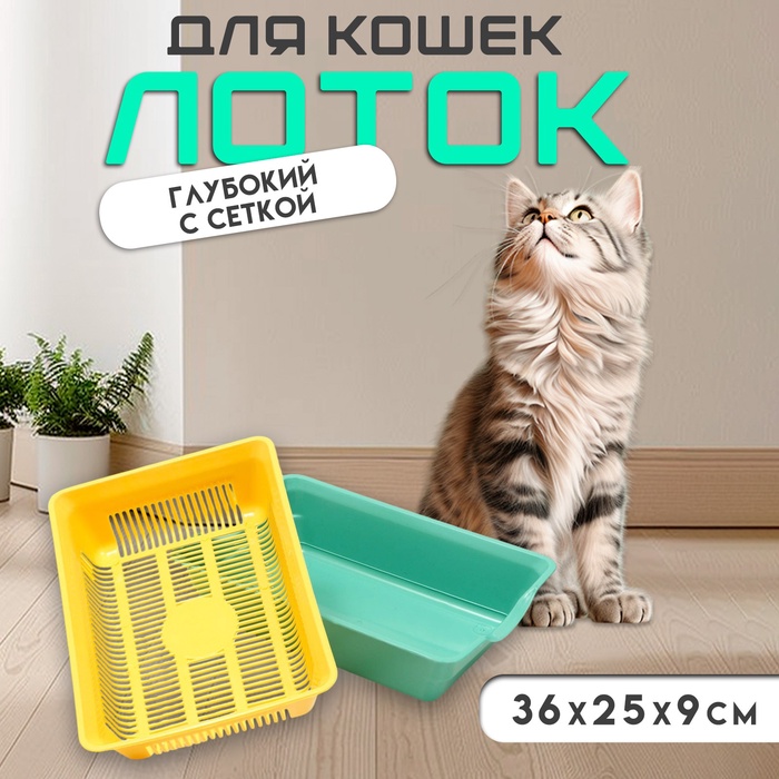 Туалет глубокий с сеткой 36 х 25 х 9 см, жёлтый/ярко-зелёный - Фото 1