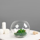 Ваза «Шаровая», 7.5 л, d горл. 15.5 см, 23×21 см, стекло, прозрачная - Фото 2