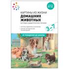 Наглядное пособие. Картины из жизни домашних животных. 3-7 лет. ФГОС . - фото 108997903