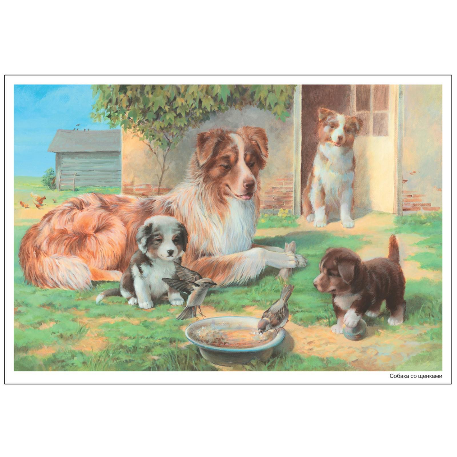 Картина купили щенка. Щенки и собаки. Картина для детей собака со щенятами. Сюжетная картина собака со щенятами. Картина собака со щенятами для детского сада средняя.