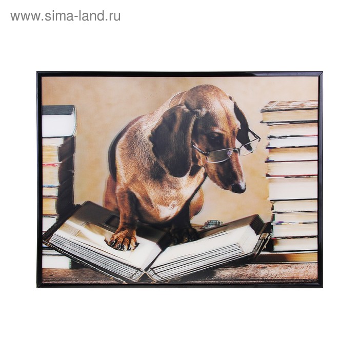 картина объемная 30*40 см книгоман - Фото 1