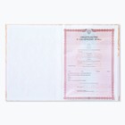 Свидетельство о заключении брака «Всё начинается с любви» тиснение, 23.5×31.3 см - Фото 4