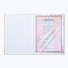 Свидетельство о заключении брака «Всё начинается с любви» тиснение, 23.5×31.3 см - Фото 5