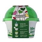 Набор для выращивания «Моя микрозелень», брюква - Фото 4