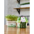 Набор для выращивания «Моя микрозелень», брюква - Фото 5