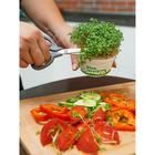 Набор для выращивания «Моя микрозелень», брюква - Фото 6