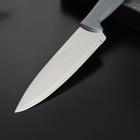 Нож кухонный универсальный Plenus, лезвие 18 см - фото 4320712