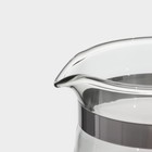 Чайник стеклянный заварочный Magistro «Шейди», 350 мл, с металлическим ситом, пластиковая колба - фото 4320719