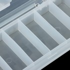 Коробка для приманок КДП-1, 19 х 10 х 3 см, прозрачная - Фото 3