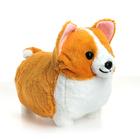 Мягкая игрушка «Корги», 45 см - Фото 2