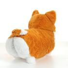 Мягкая игрушка «Корги», 45 см - Фото 3