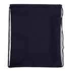 Мешок для обуви 430 х 340 мм, Stavia (плотность 600D с водоотталкивающей ПУ-пропиткой) "Сова диско", серый - фото 52657342