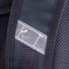 Рюкзак каркасный школьный 38 х 30 х 16 см, эргономичная спинка, Stavia "Фламинго мини", чёрный/розовый - фото 45685223