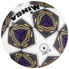 Мяч футбольный MINSA, PU, машинная сшивка, 12 панелей, р. 5 - Фото 6
