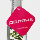 Бутылка стеклянная для соусов и масла Доляна «Олива», 200 мл, 4,5×29 см - фото 4320780