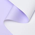 Пленка матовая для цветов и букетов, сирень, 0.58×10 м - Фото 1