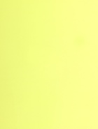 Пленка матовая для цветов, зеленая сосна, салатовый, 0.58×10 м - фото 23528880