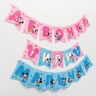 Гирлянда на ленте на гендер пати «Девочка или мальчик», длина 3 м, Дисней беби - Фото 2