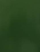 Пленка для цветов, двусторонняя, зелёная, 0.6×10 м - Фото 13