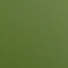 Пленка для цветов, двусторонняя, зелёная, 0.6×10 м - Фото 7