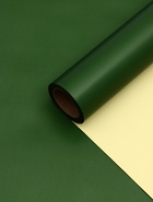 Пленка для цветов, двусторонняя, зелёная, 0.6×10 м - Фото 9