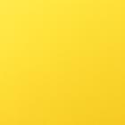 Пленка матовая для цветов и букетов, желтый, изумрудный, 57±1 см×10 м - Фото 3