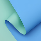 Пленка матовая, светло-бирюзовый, голубой, 0.58 х 10 м - фото 10759328