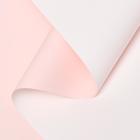 Пленка матовая 0.58×10 м - Фото 1