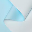 Пленка матовая 0.58×10 м - Фото 1