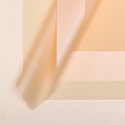 Пленка флористическая для цветов, "Кант жемчужный", 57х57 ± 1см - Фото 1