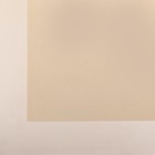 Пленка флористическая для цветов, "Кант жемчужный", 57х57 ± 1см - Фото 3