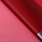 Пленка флористическая для цветов, "Кант жемчужный", 57х57 ± 1см (комплект 20 шт) - фото 23639341