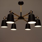 Люстра 1047/6BK E27 60 Вт черный 76×76×50 см BayerLux - фото 4366062