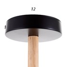 Люстра 1047/6BK E27 60 Вт черный 76×76×50 см BayerLux - фото 4366065