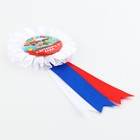 Значок - орден на выпускной «Выпускник детского сада на книге», d=6.7 см - Фото 4